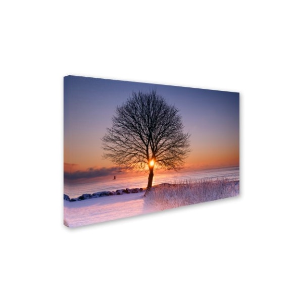 Michael Blanchette Photography 'Tree Burst' Canvas Art,12x19